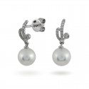 Earrings from 14 karat gold with Akoya sea pearls and diamonds