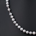 Necklace made of natural pearls in metallic AA color + 8.0 - 8.5 mm