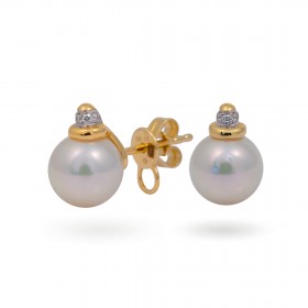 Earrings from 14 karat yellow gold with Akoya sea pearls and diamonds