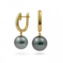 Earrings from 14 karat gold with Tahitian pearls